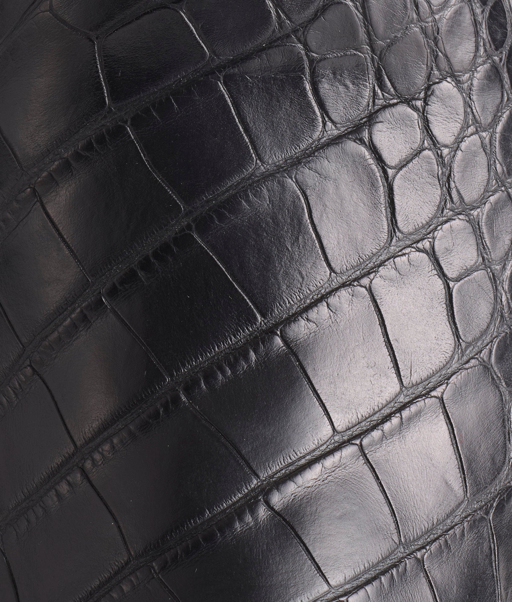 Baron :: Black - Image 7