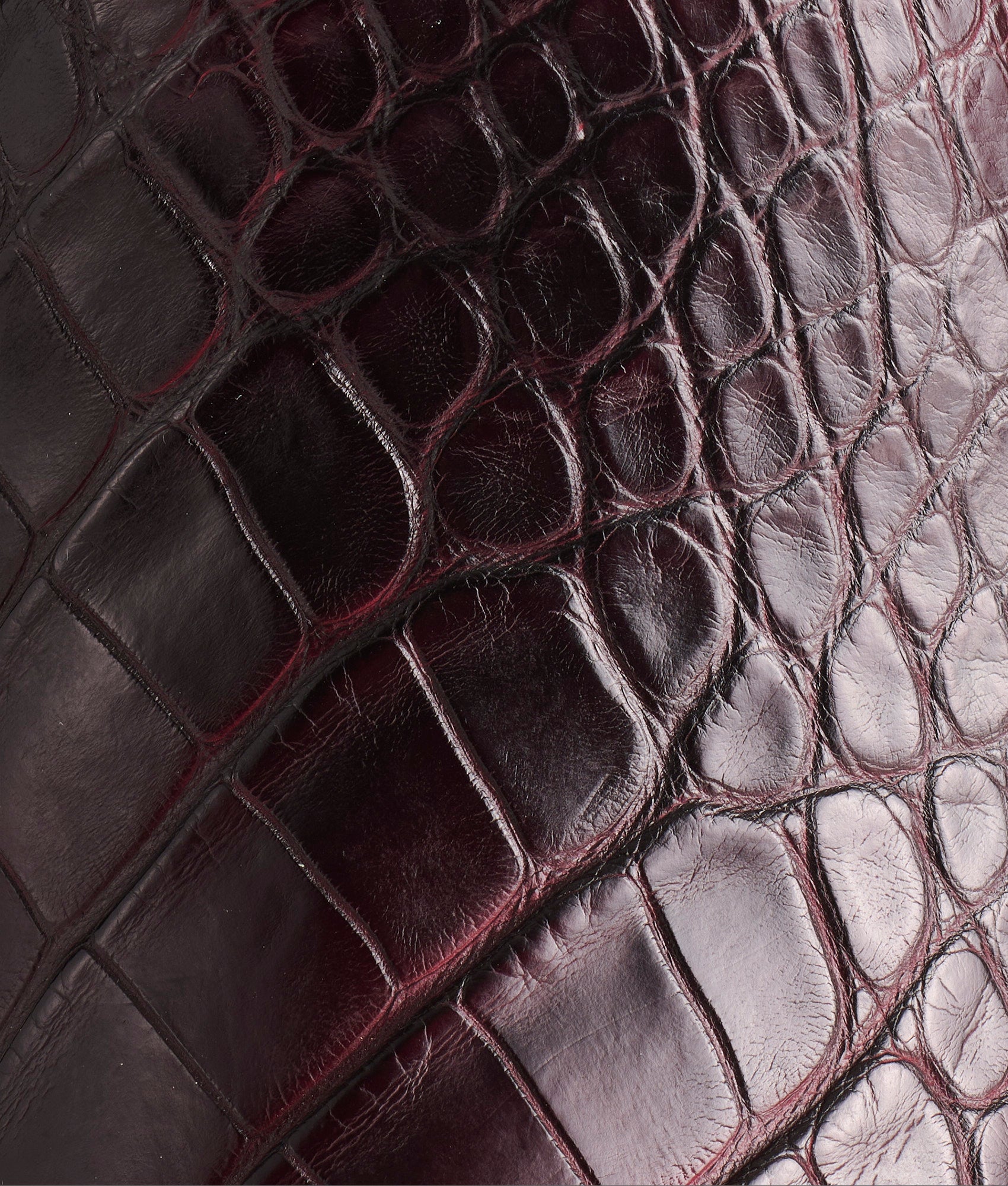 Baron :: Black Cherry - Image 8