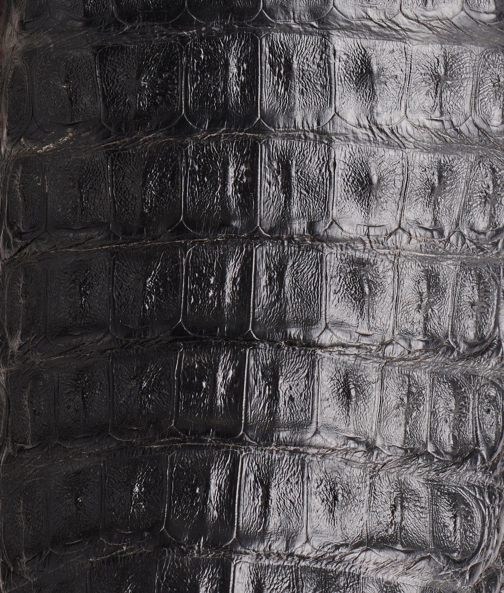 Fisher :: Black - Image 8