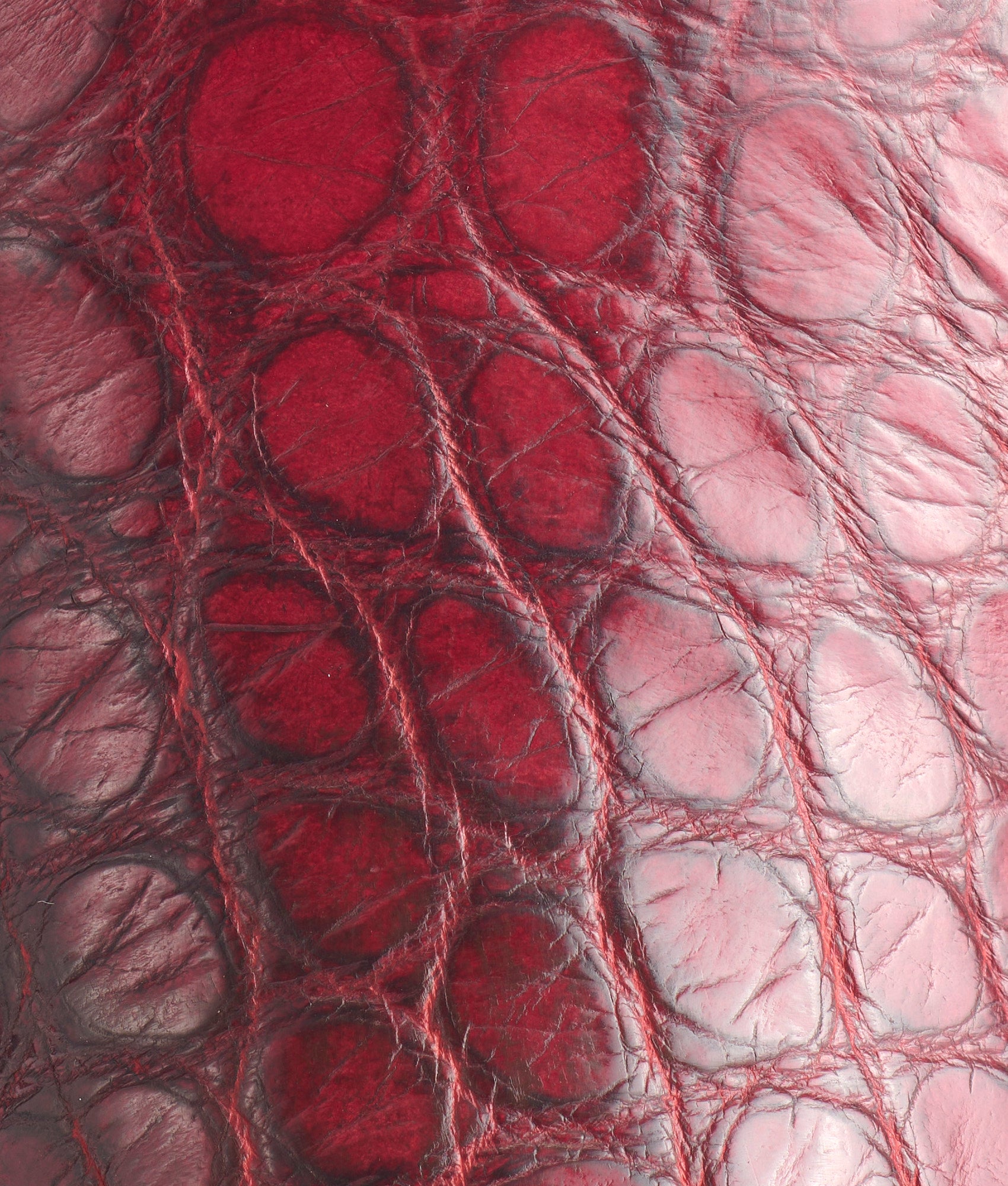 Roy :: Black Cherry + Black - Image 8