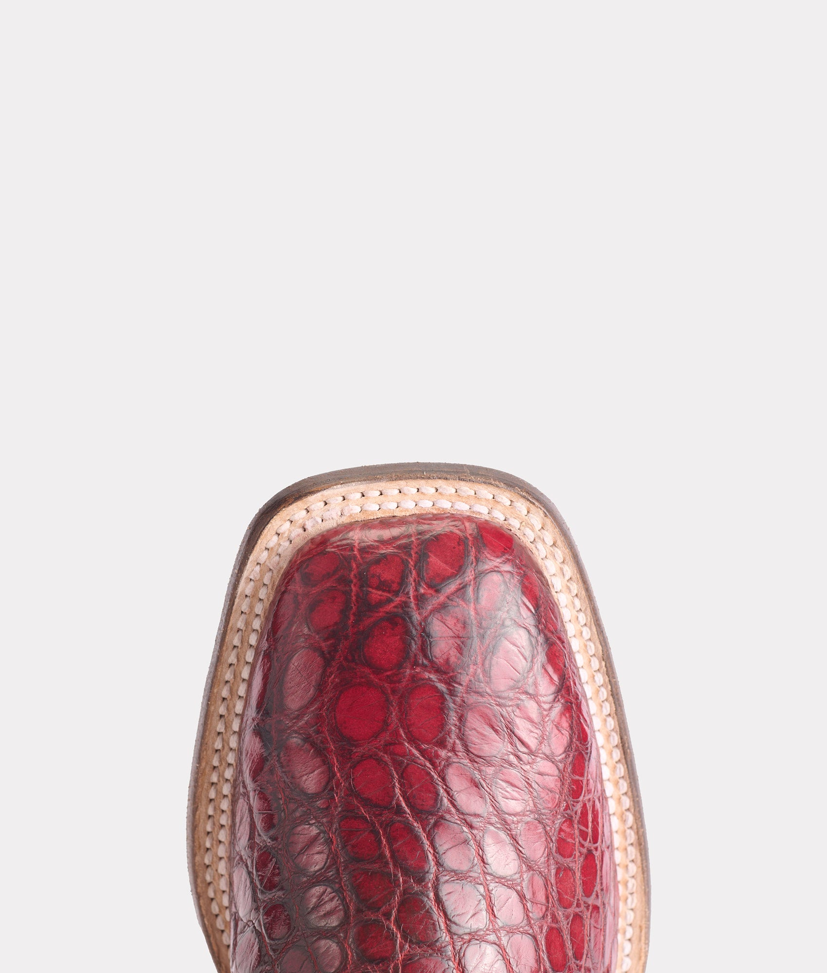 Roy :: Black Cherry + Black - Image 7