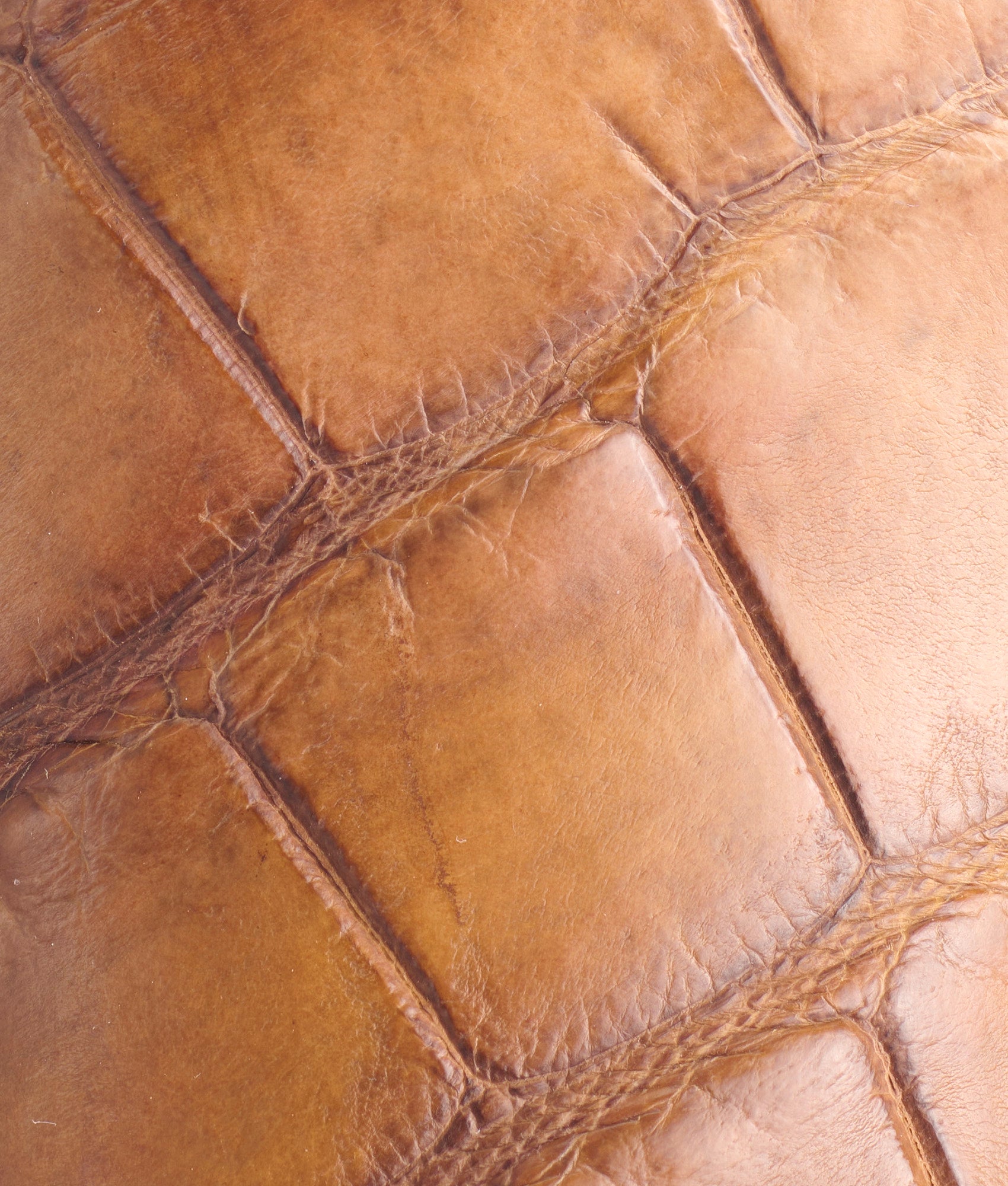 Roy :: Brown + Tan - Image 8