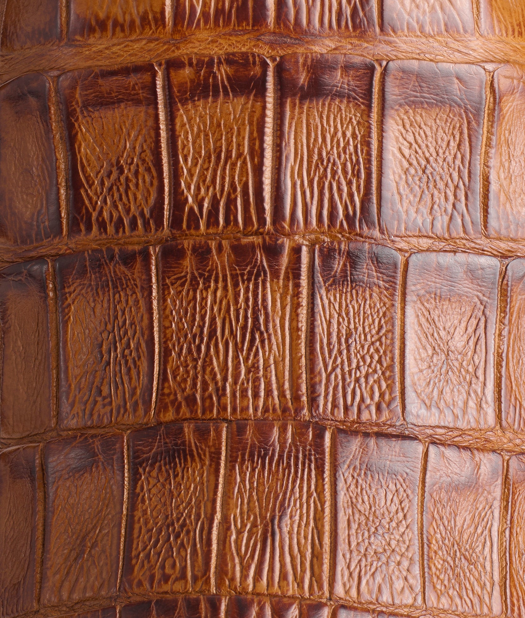 Tulipano Horseman :: Cognac - Image 8