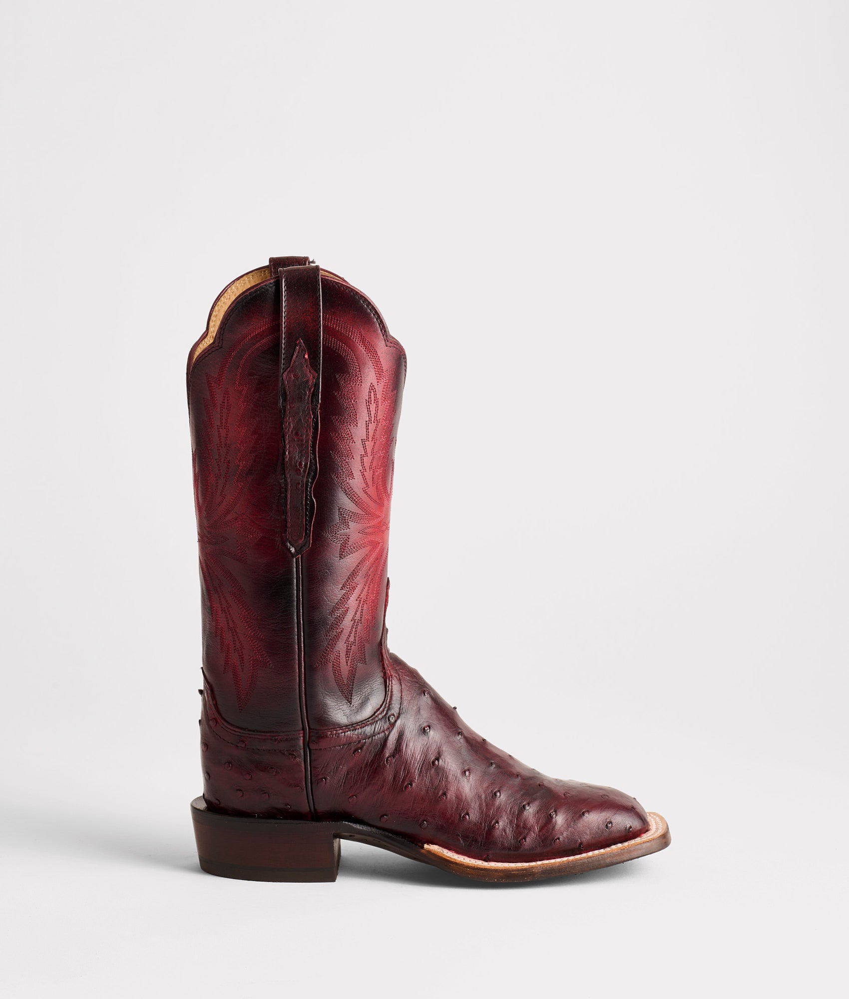 Josephine Horseman :: Antique Black Cherry