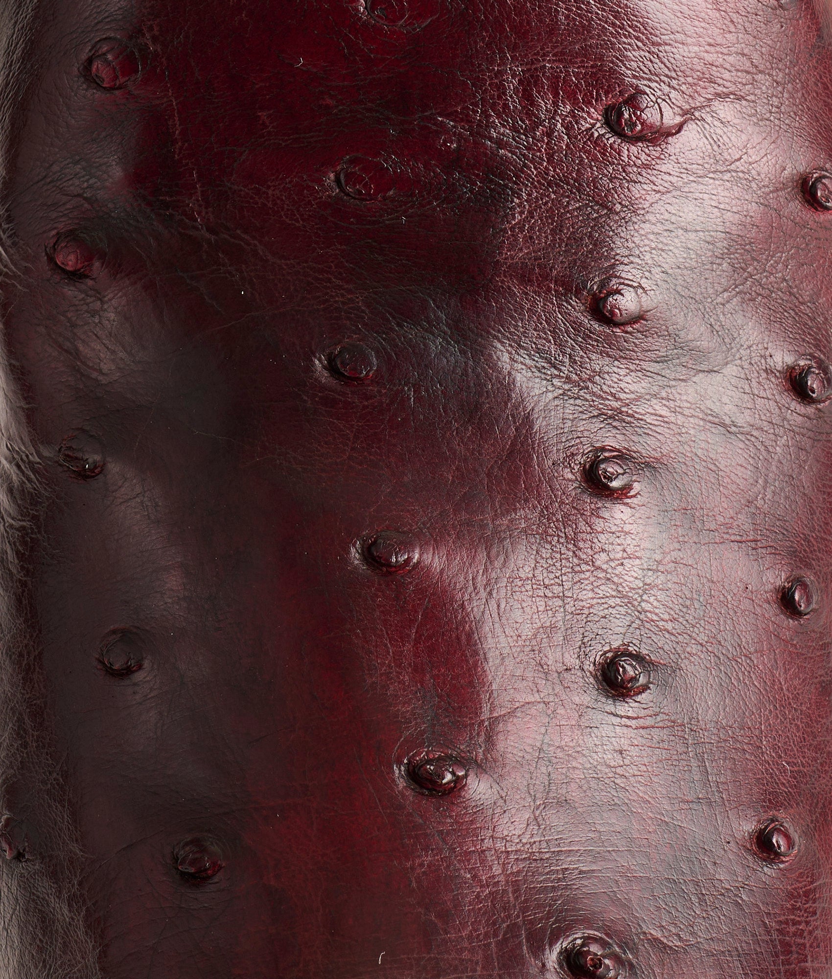 Josephine Horseman :: Antique Black Cherry - Image 7