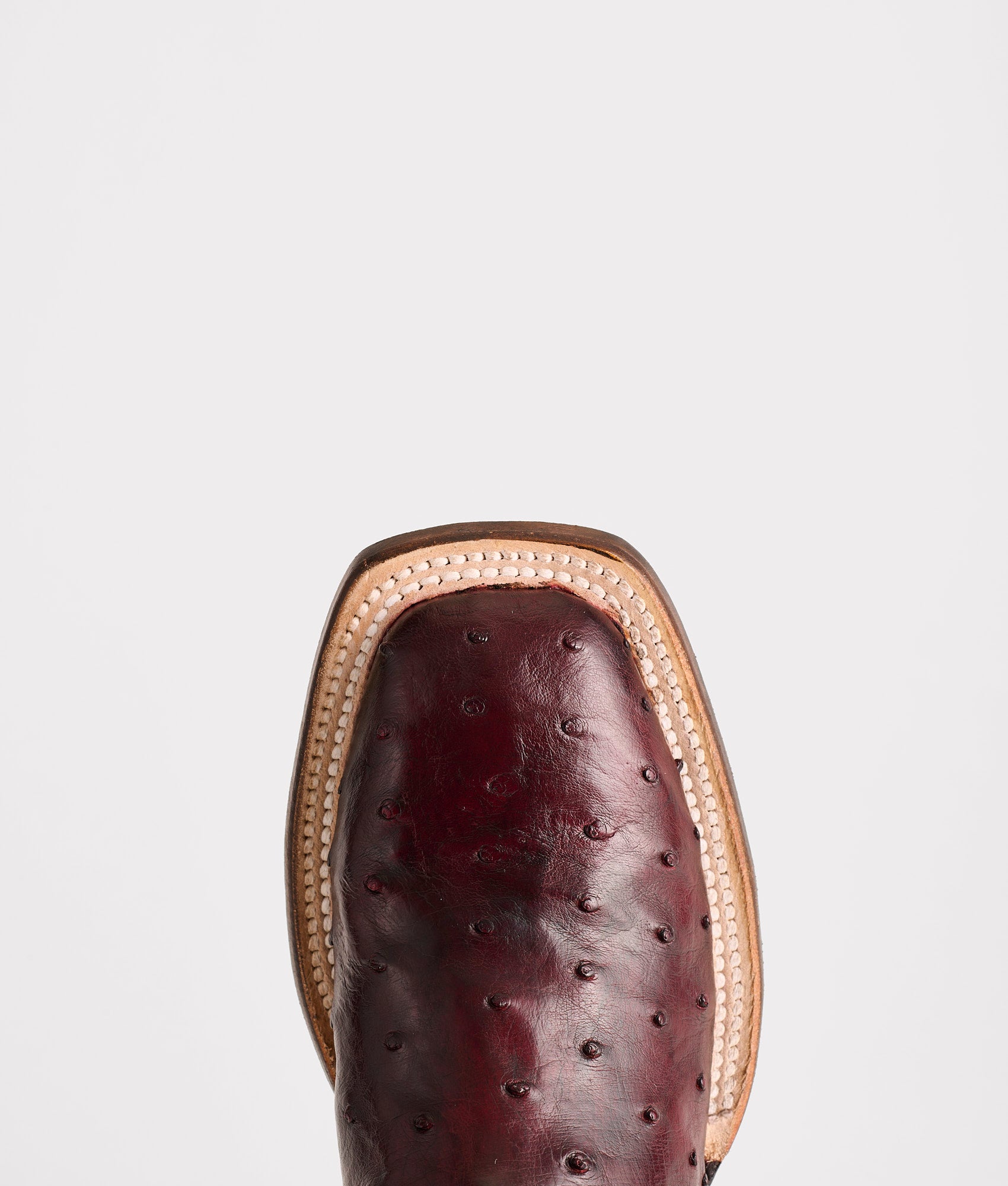 Josephine Horseman :: Antique Black Cherry - Image 6