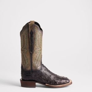 Josephine Horseman :: Antique Black