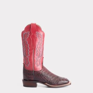 Brynlee Exotic :: Black Cherry