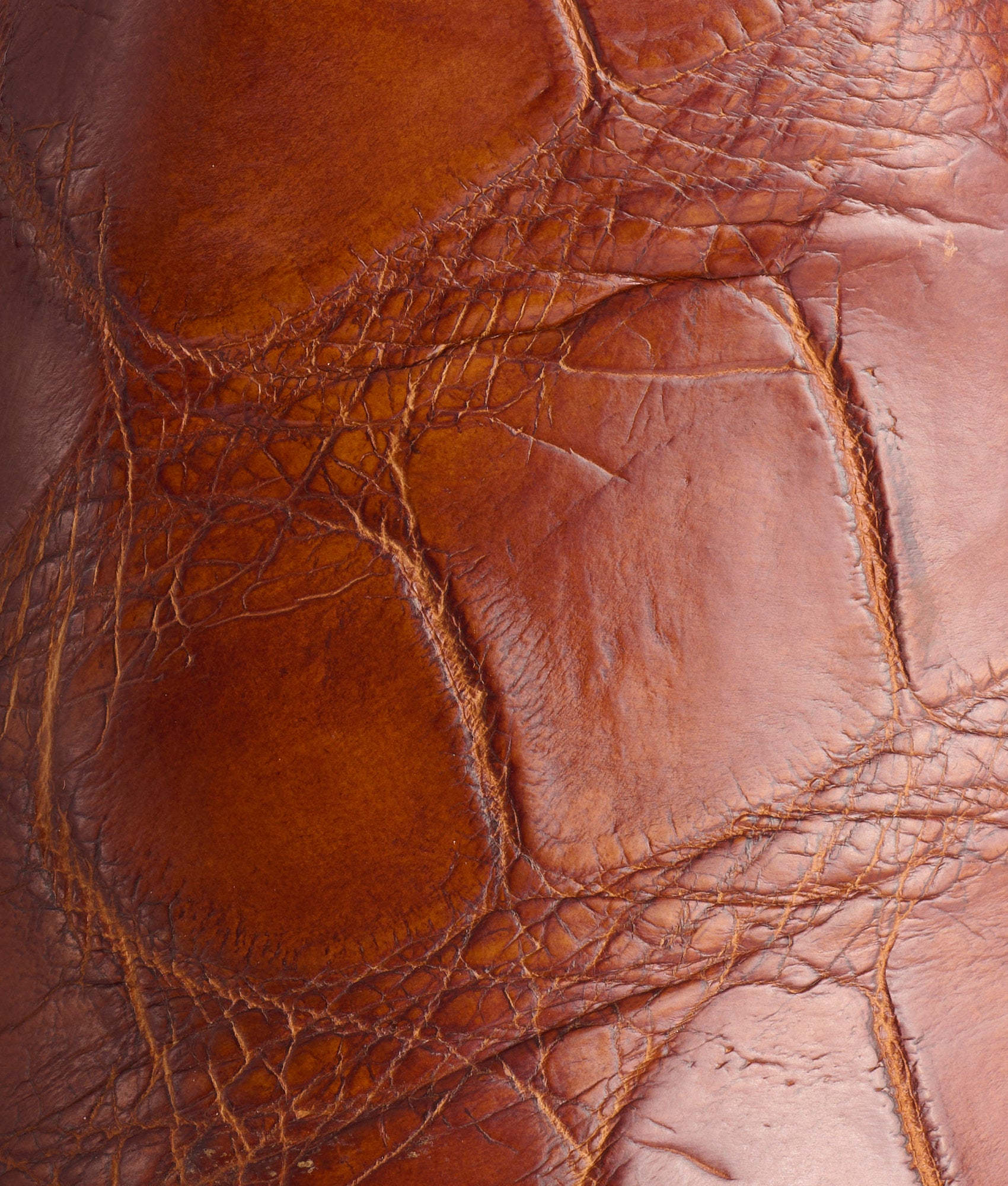 General :: Dark Cognac - Image 7