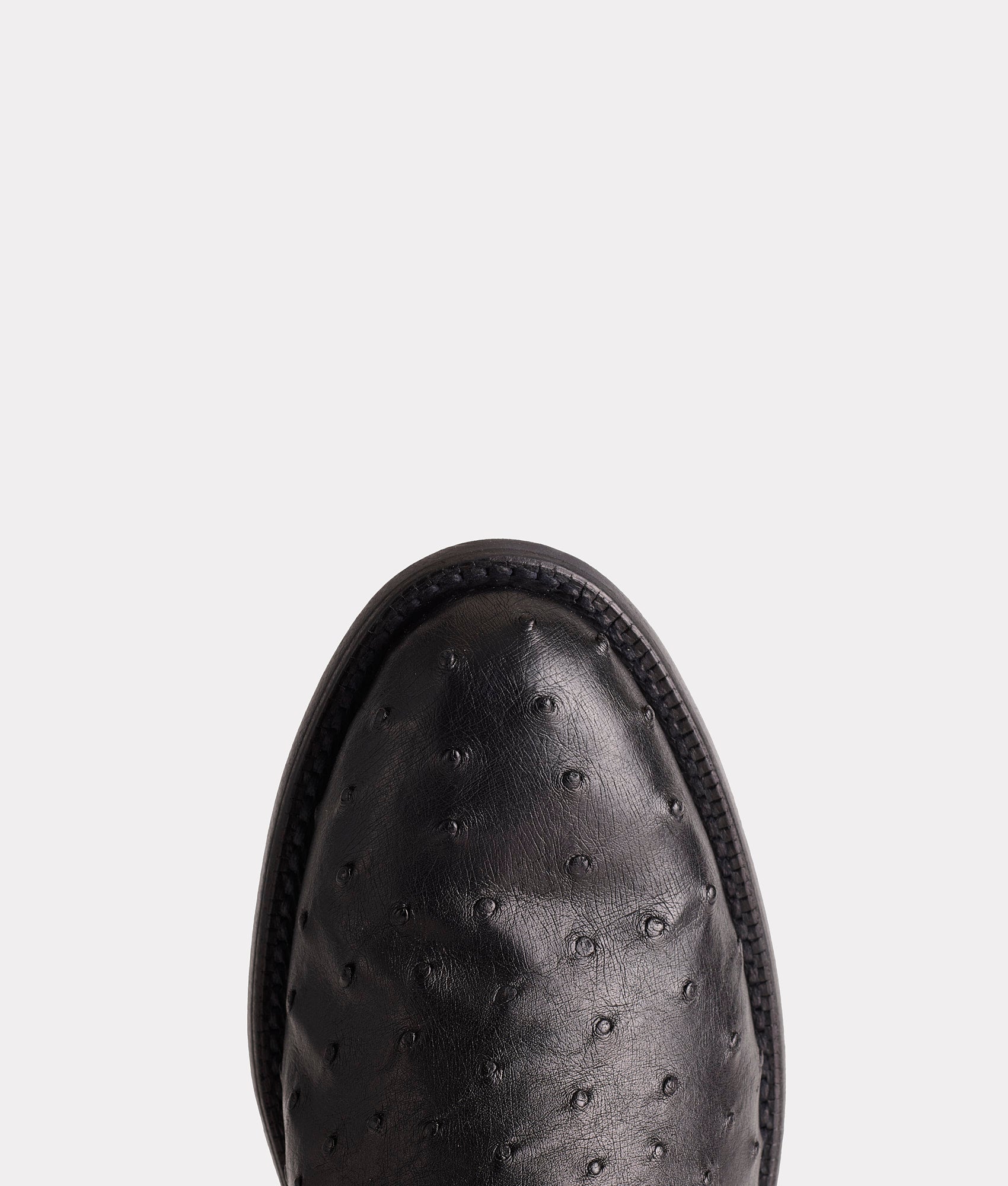 Augustus :: Black - Image 7