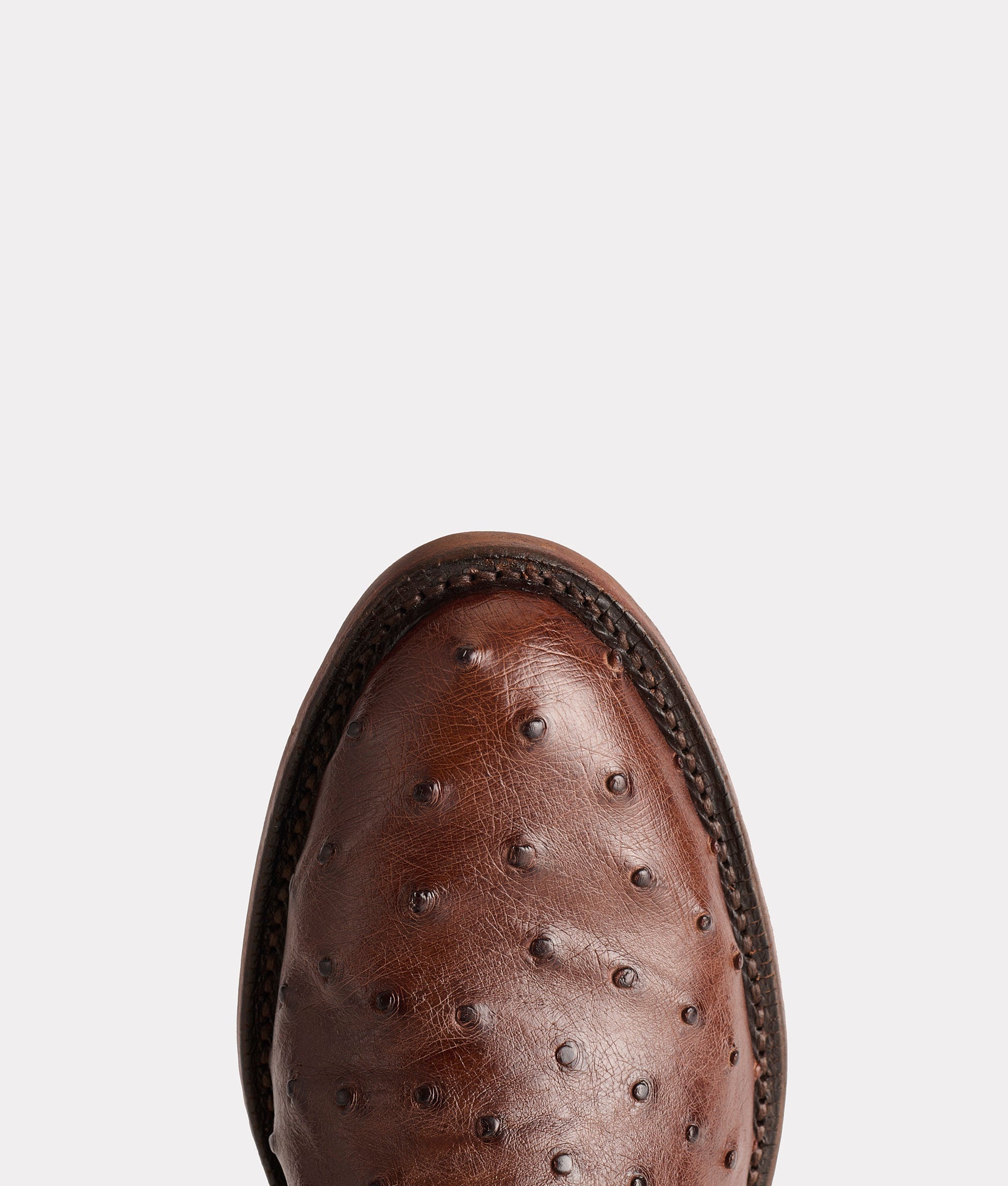 Augustus :: Sienna + Dark Brown - Image 7