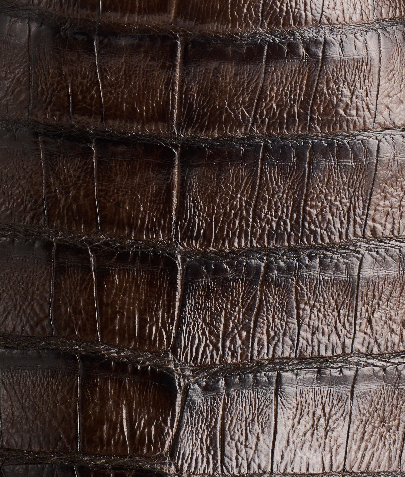 Wilson :: Chocolate - Image 7