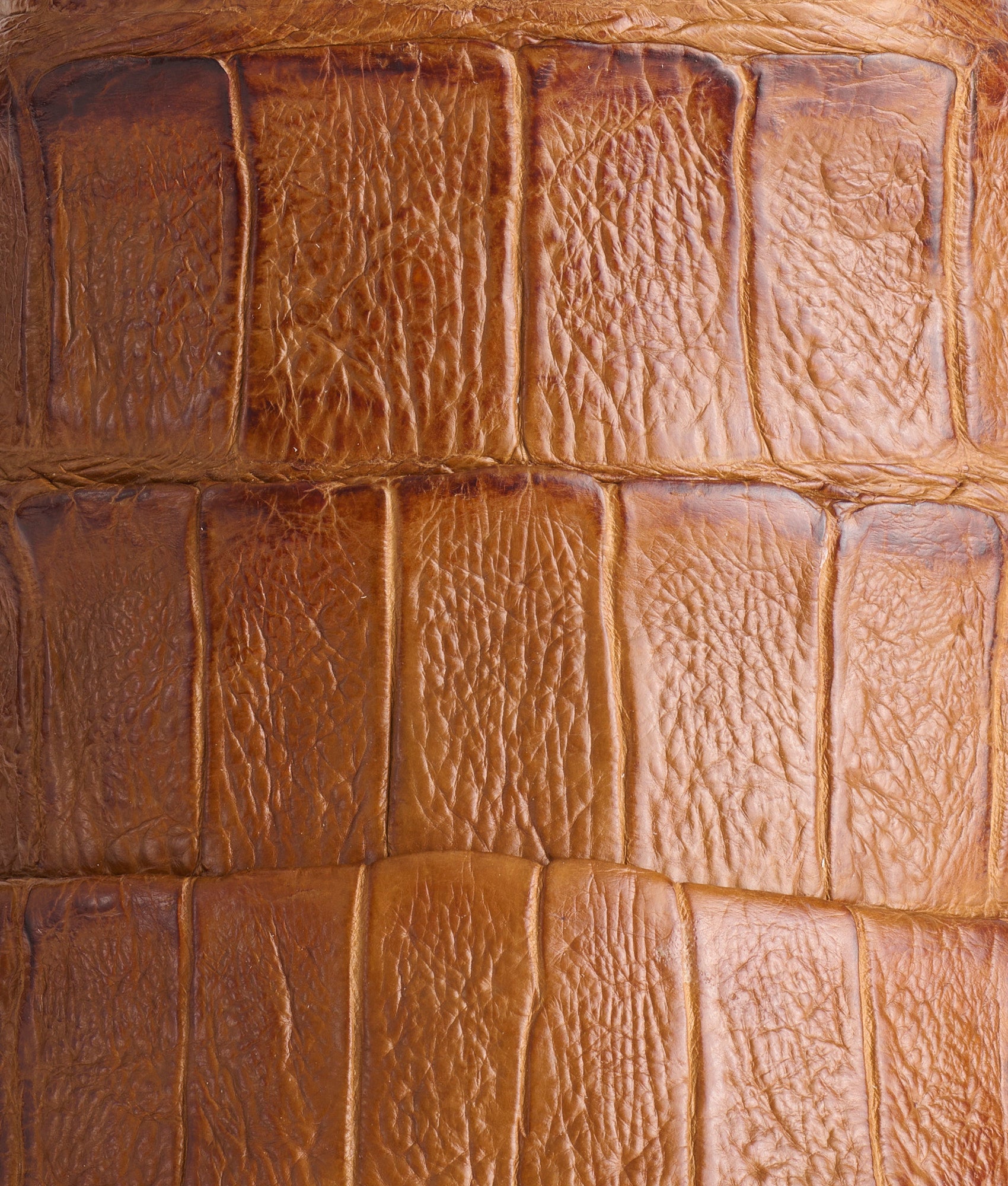 Tulipano :: Saddle Tan - Image 8