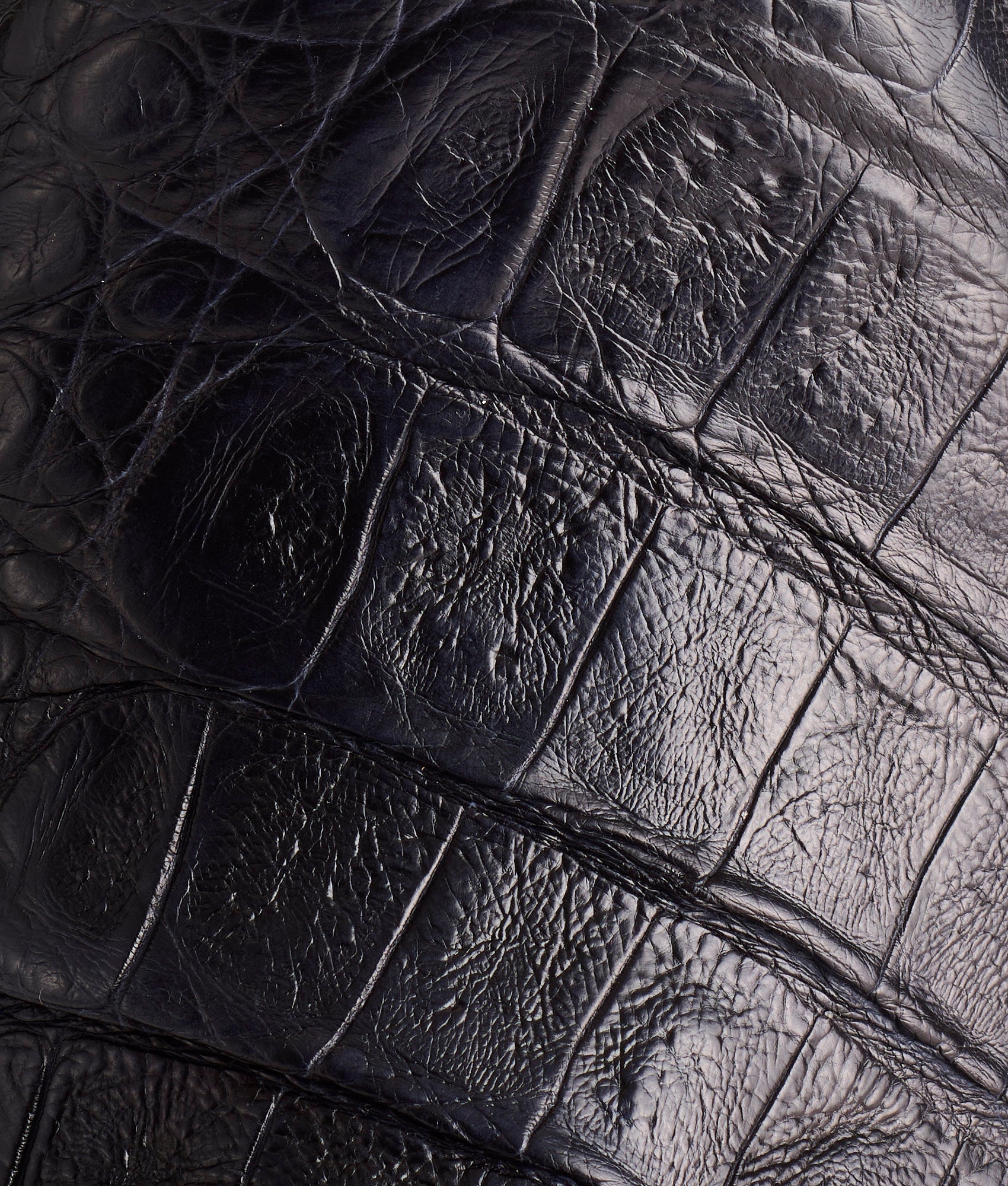 The Signal :: Black - Image 8