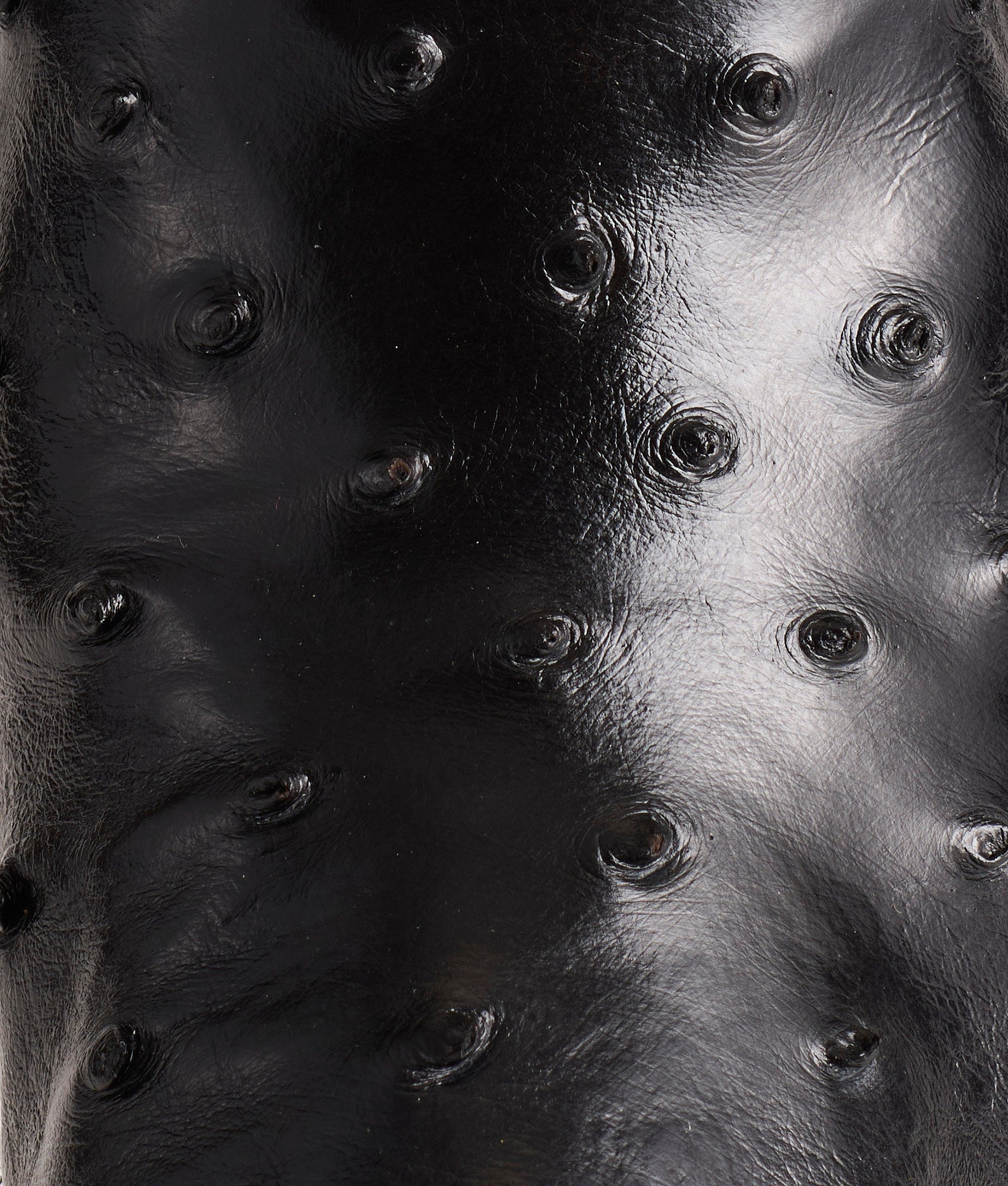 Dolly :: Black - Image 7