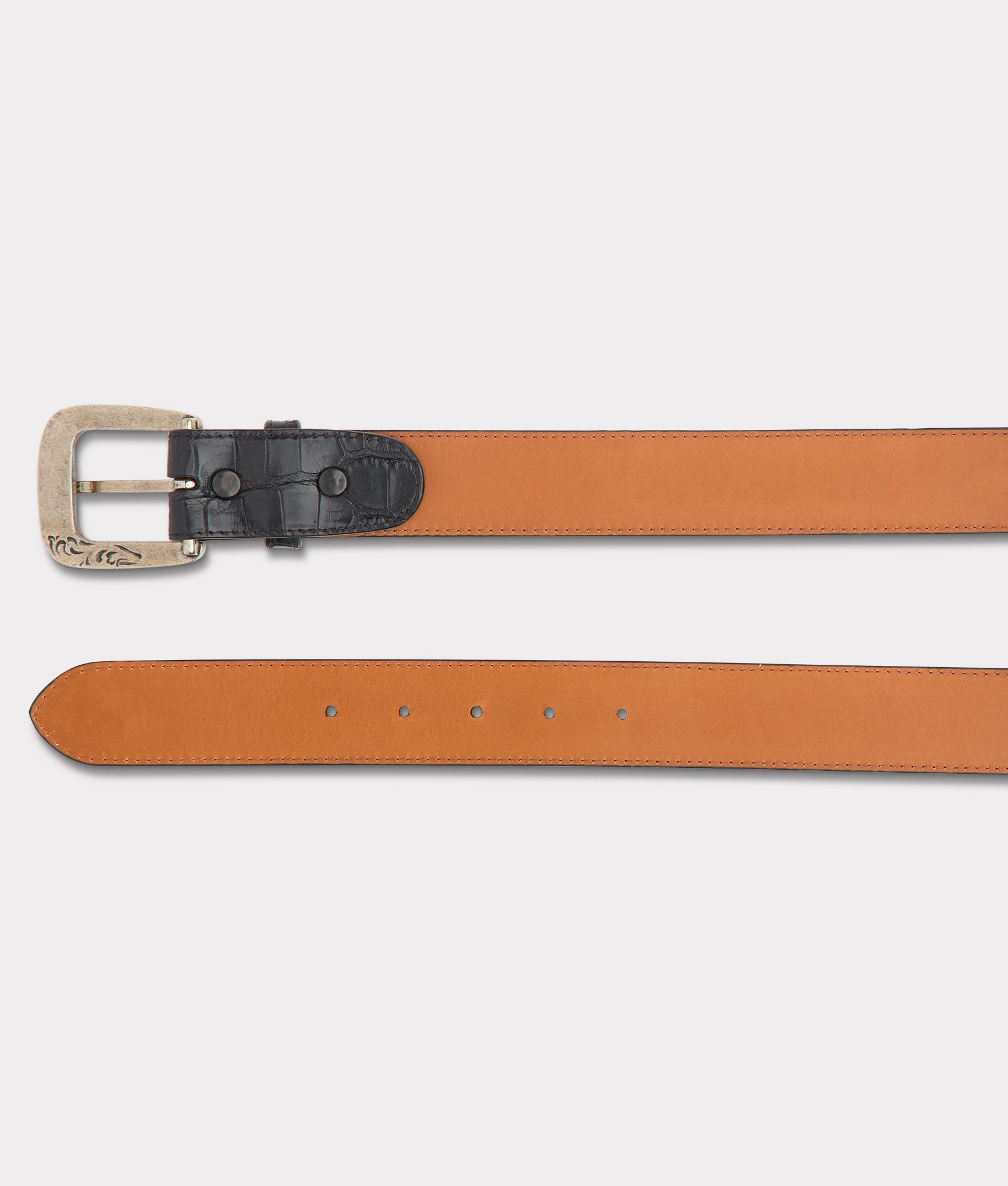 American Alligator :: Black - Image 5