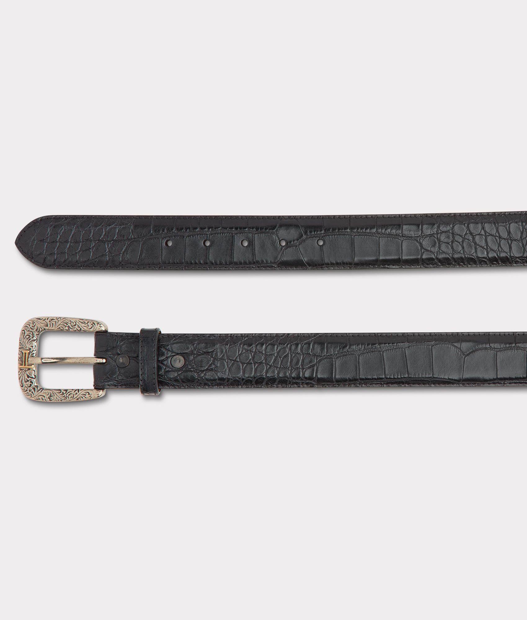 American Alligator :: Black - Image 4