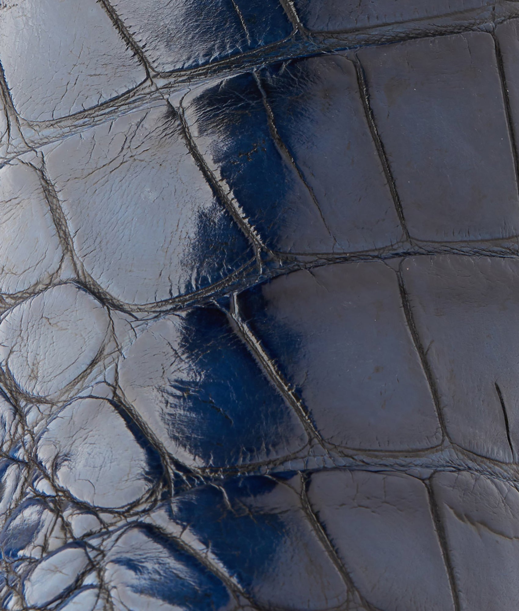 Men's Bluebonnet 140th Anniversary Boot :: Cavalry Blue - Image 14