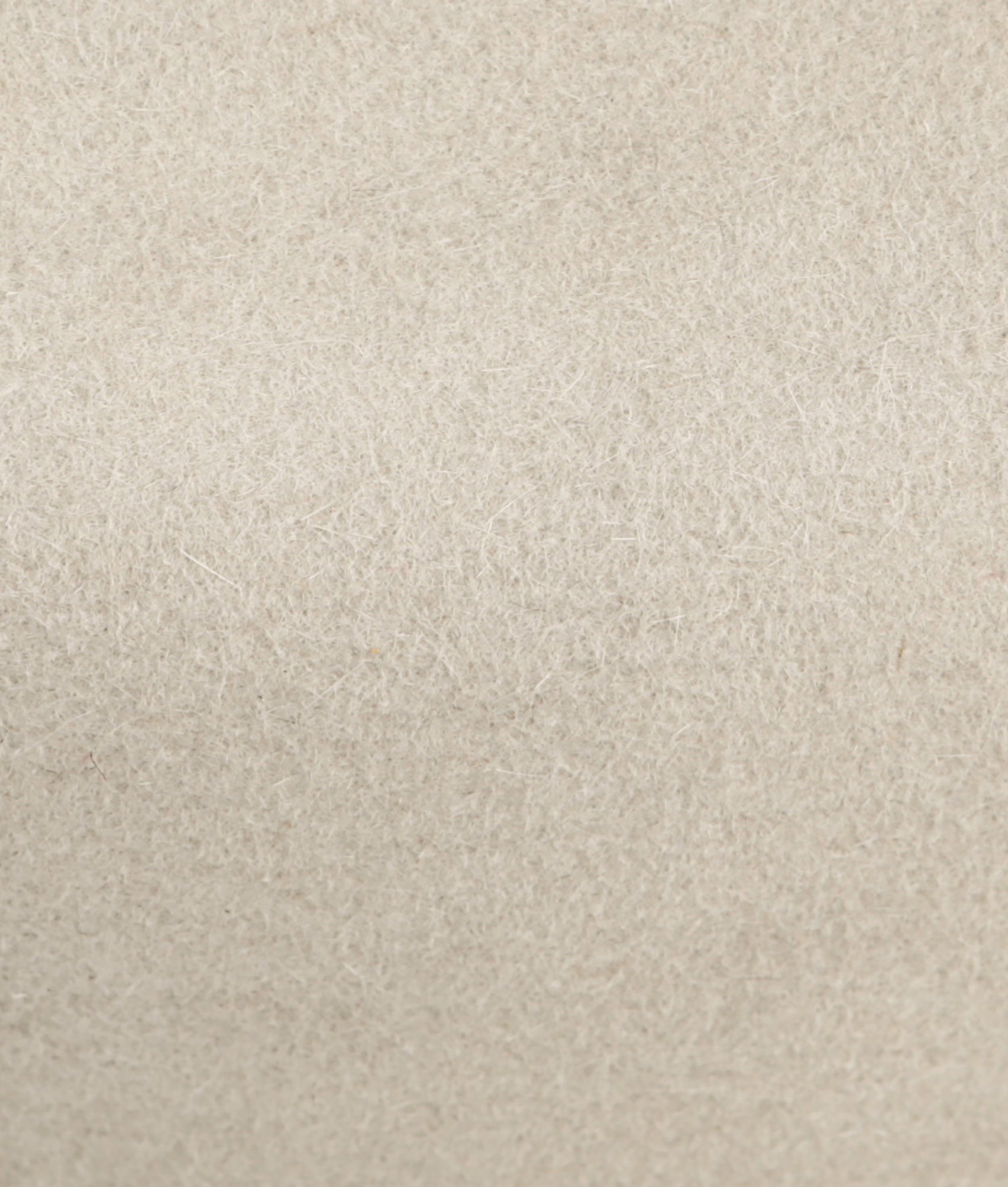 The Alamo :: Silverbelly - Image 16