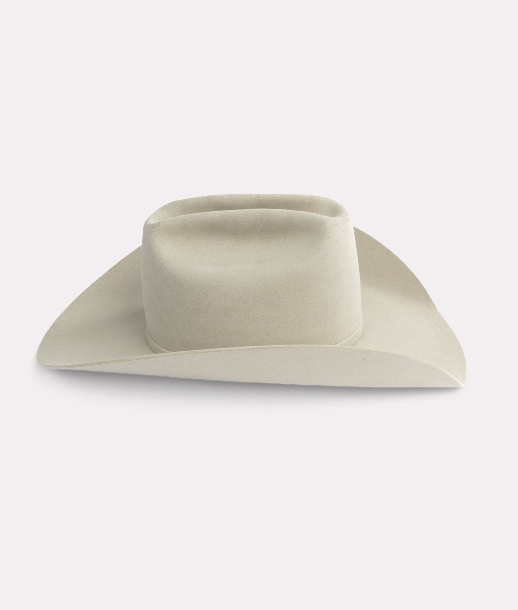 The Alamo :: Silverbelly - Image 13