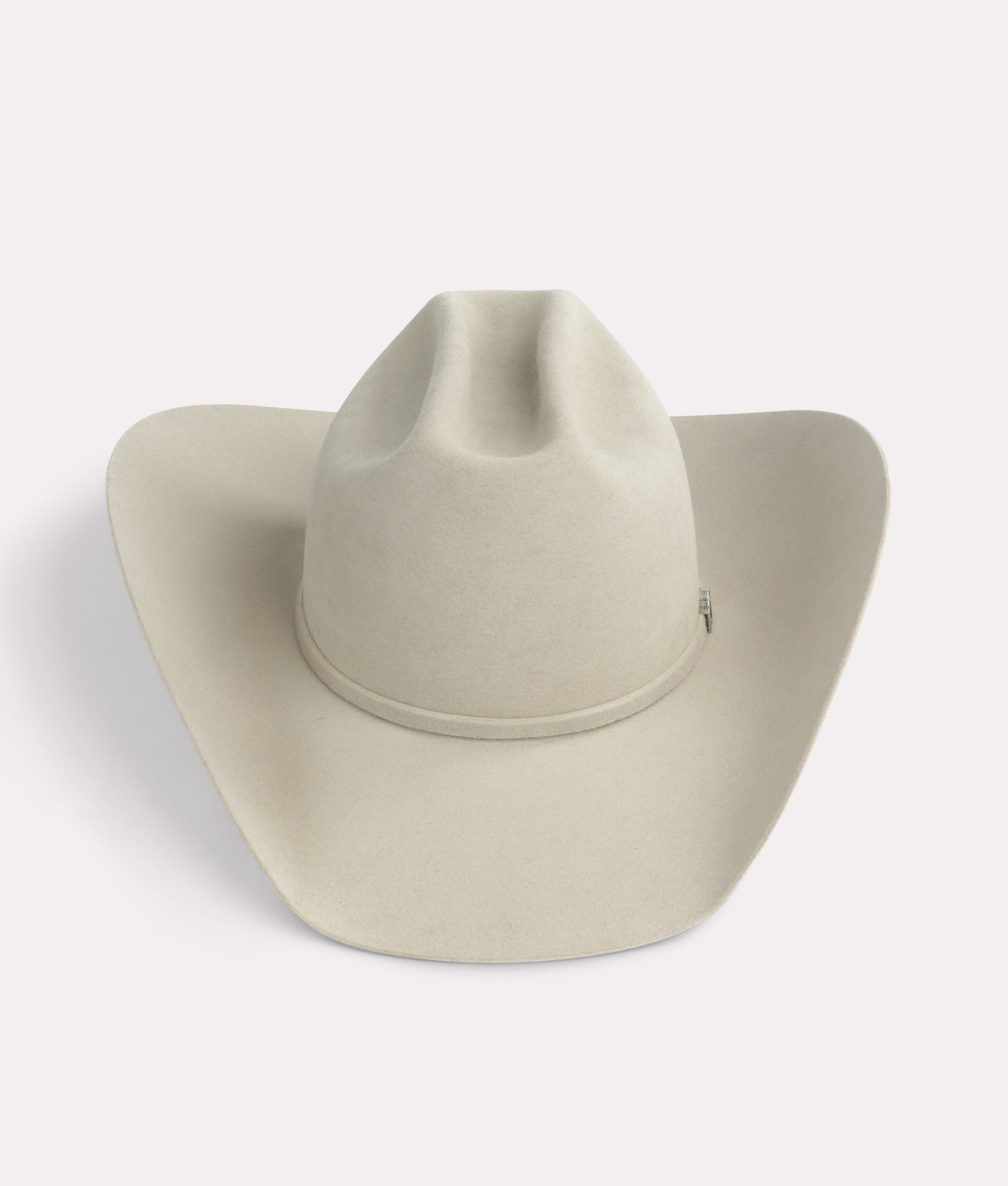 The Alamo :: Silverbelly - Image 6