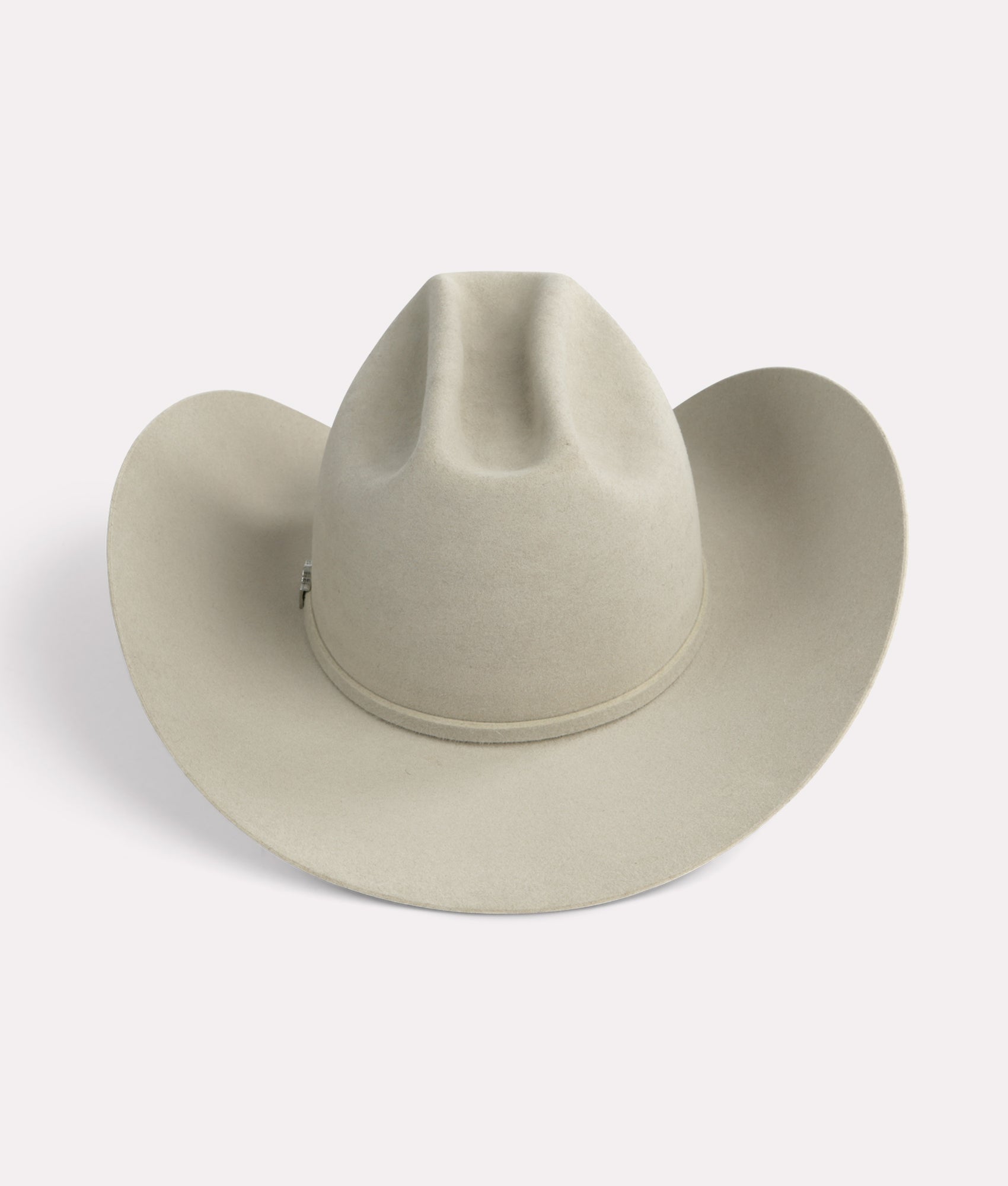 The Alamo :: Silverbelly - Image 7