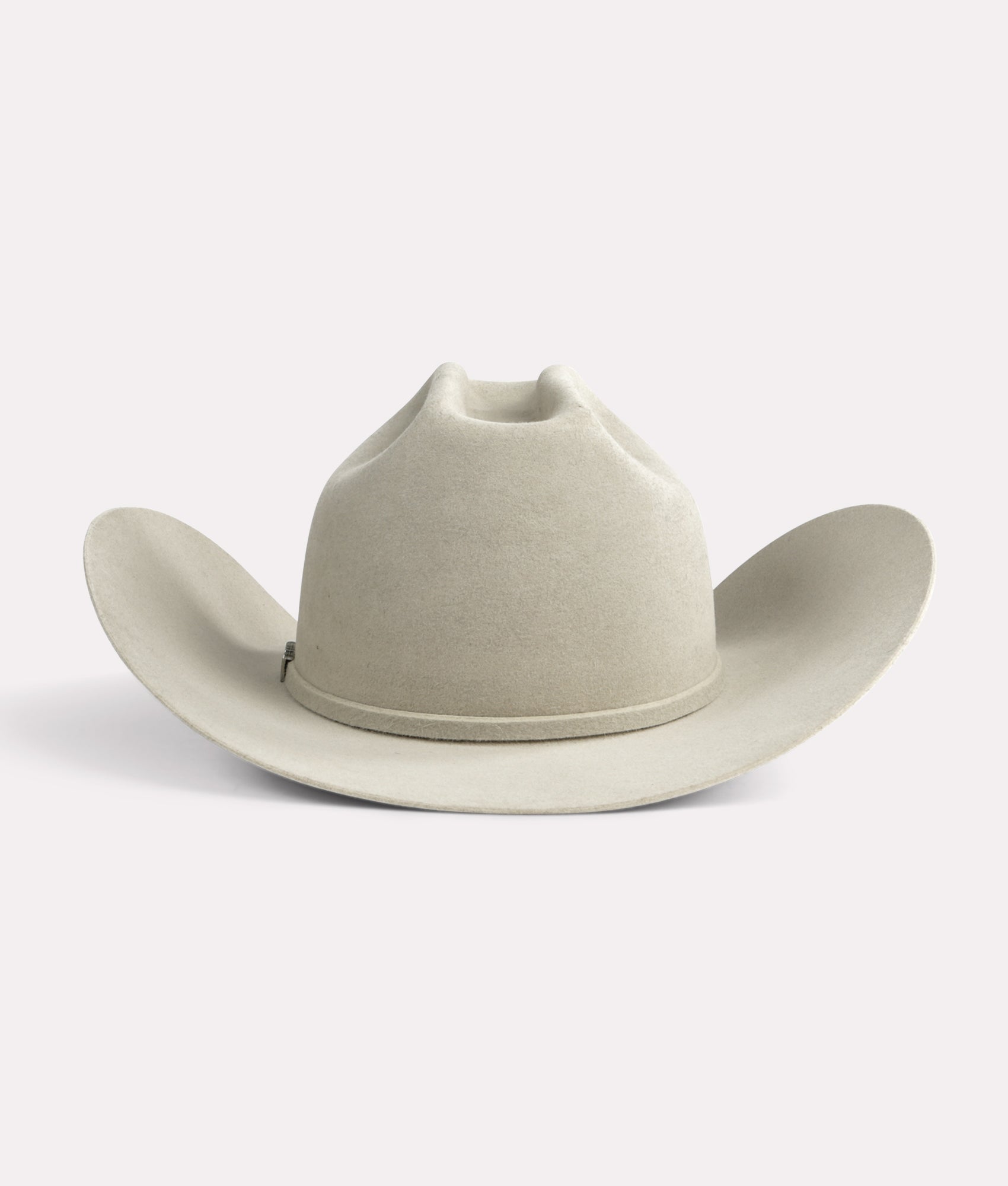 The Alamo :: Silverbelly - Image 12