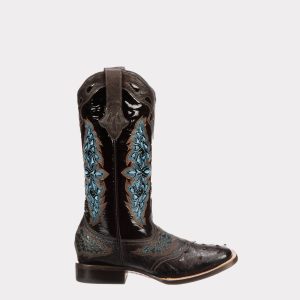 Amberlyn :: Chocolate